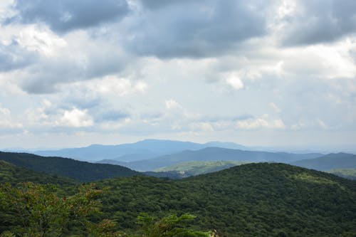 경치, 공중, 드론의 무료 스톡 사진