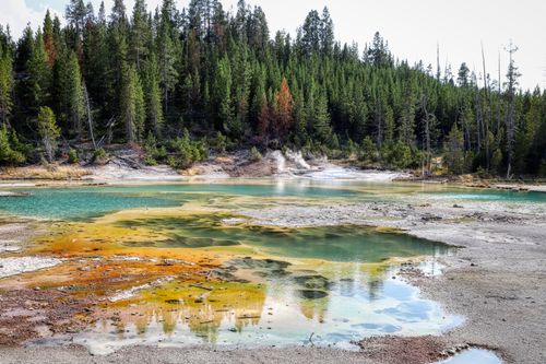 Free Colorful geothermal hot spring surrounded by lush forest in Yellowstone, showcasing vivid natural beauty. Stock Photo