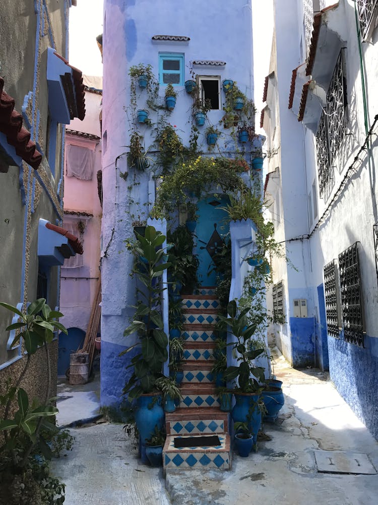 Narrow Alley Between Old House Buildings 