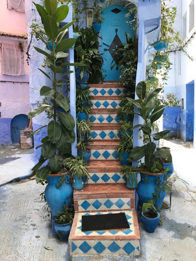 Blauw geschilderde straatjes van Chefchaouen in het Rifgebergte