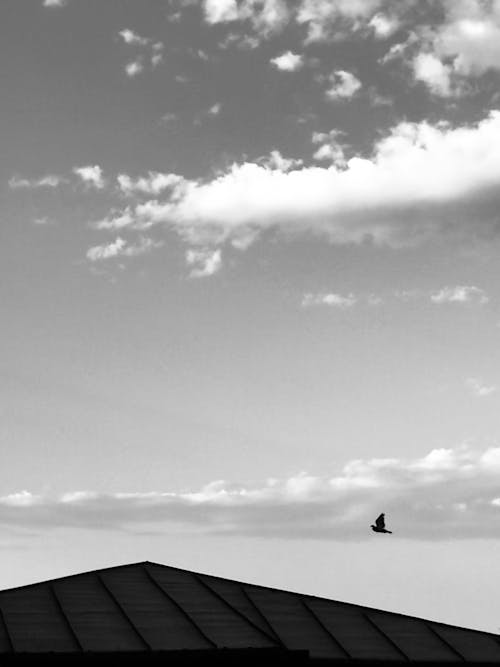 Foto stok gratis awan, grayscale, hitam & putih
