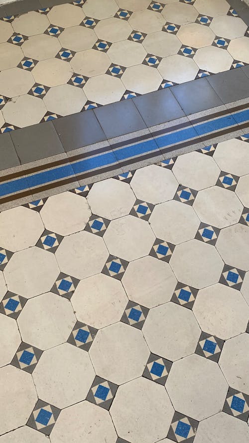 Blue and White Floor Tiles