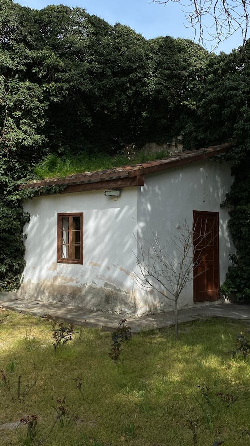 Aged House near Trees