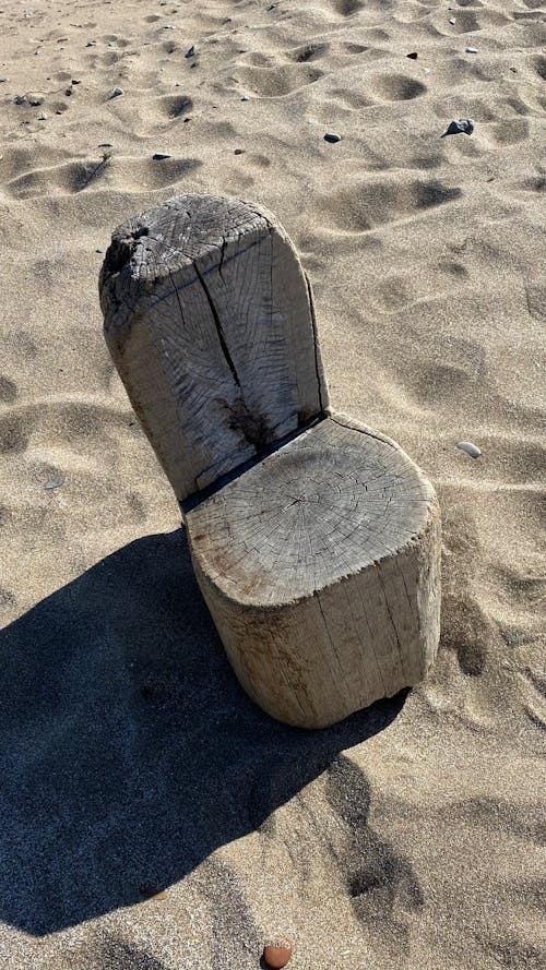 Wood Log on Sand 