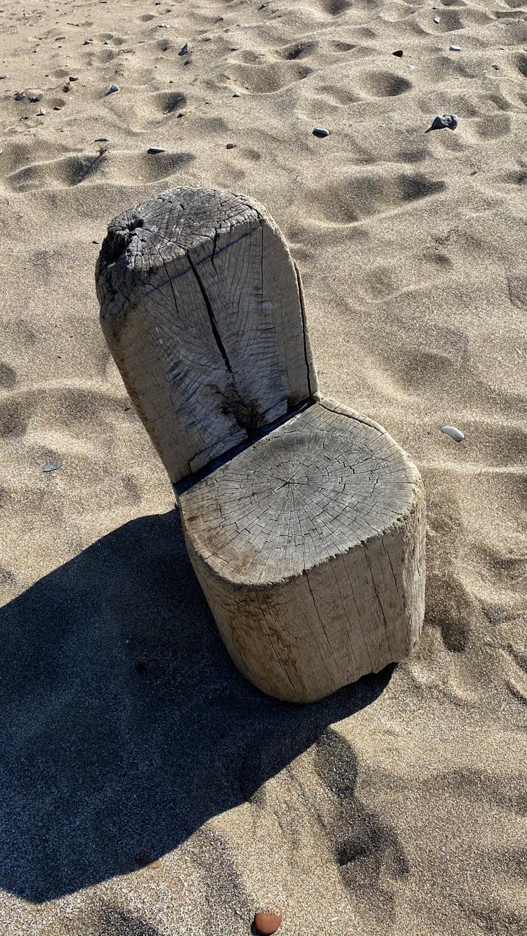 Wood Log On Sand 