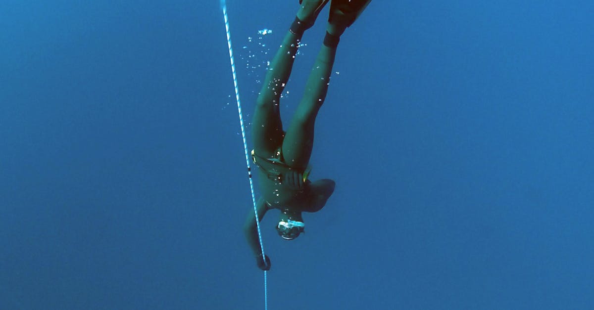 Free stock photo of blue, deep diving, deep ocean