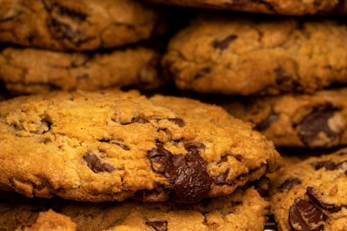 Free Chocolate Chip Brown Cookies  Stock Photo