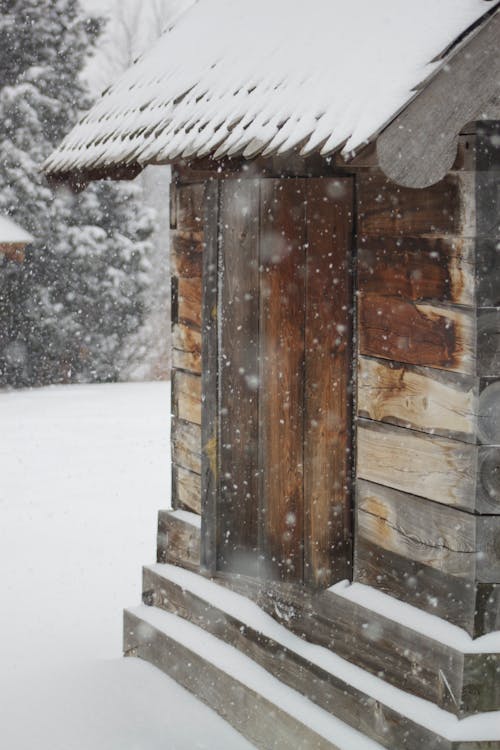 Imagine de stoc gratuită din acoperit de zăpadă, anotimp, de lemn