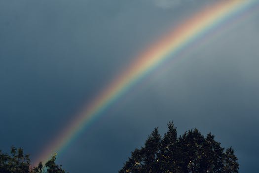 A breathtaking rainbow arcs across a dusky Salt Lake City sky above lush tree foliage.
