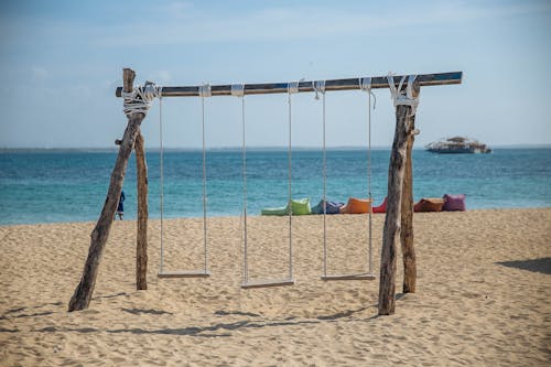 Photo of Three Swing Chairs