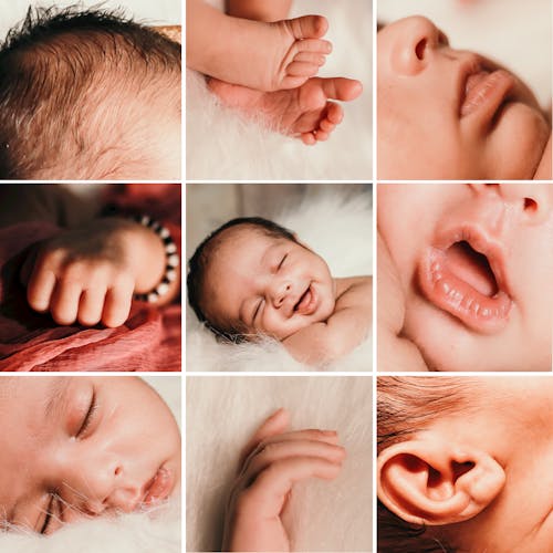 Imagine de stoc gratuită din bebeluș, colaj, descărcare gratuită