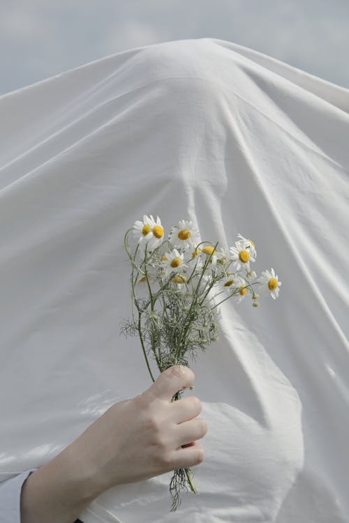 Person Holding White and Yellow Flowers