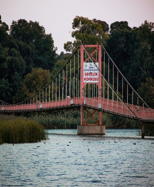 Free A suspension bridge spans a tranquil river surrounded by a lush forest. Stock Photo
