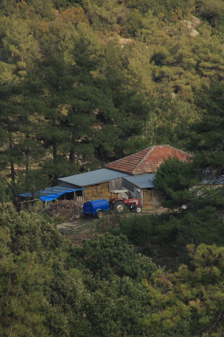 House And Tractor In Forest