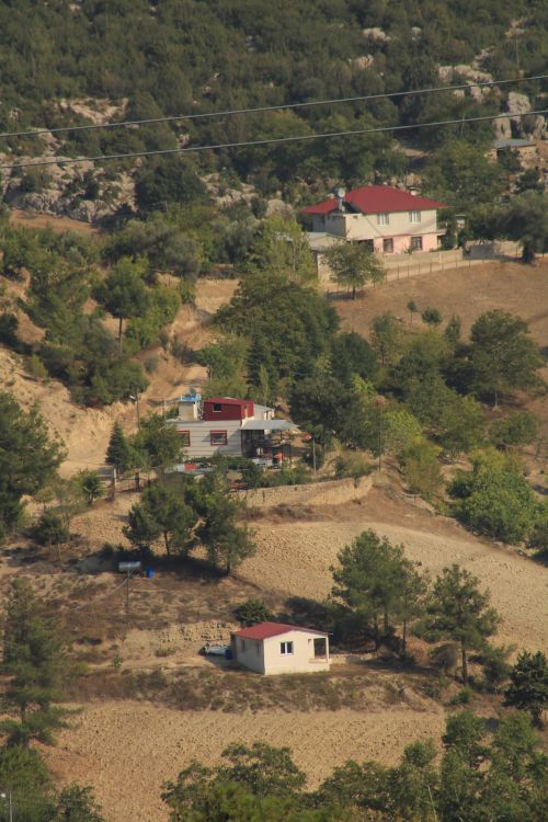 Free Aerial view showcasing rural houses surrounded by trees and fields. Stock Photo