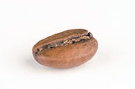 白色背景上微距拍摄的单个棕色咖啡豆细节