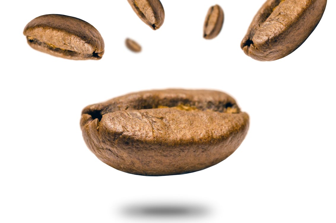 Free Closeup Photo of Coffee Bean Stock Photo