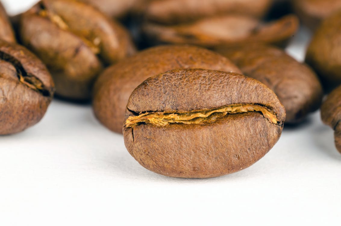 Free Brown Coffee Beans Lot Stock Photo