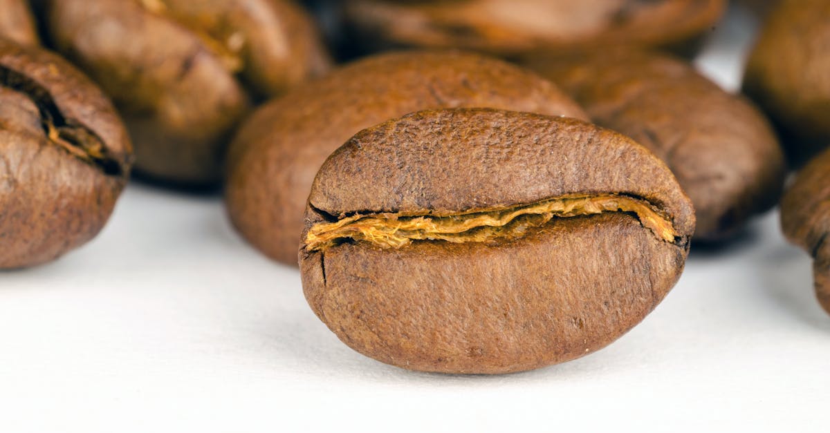 Do raw cacao beans have caffeine