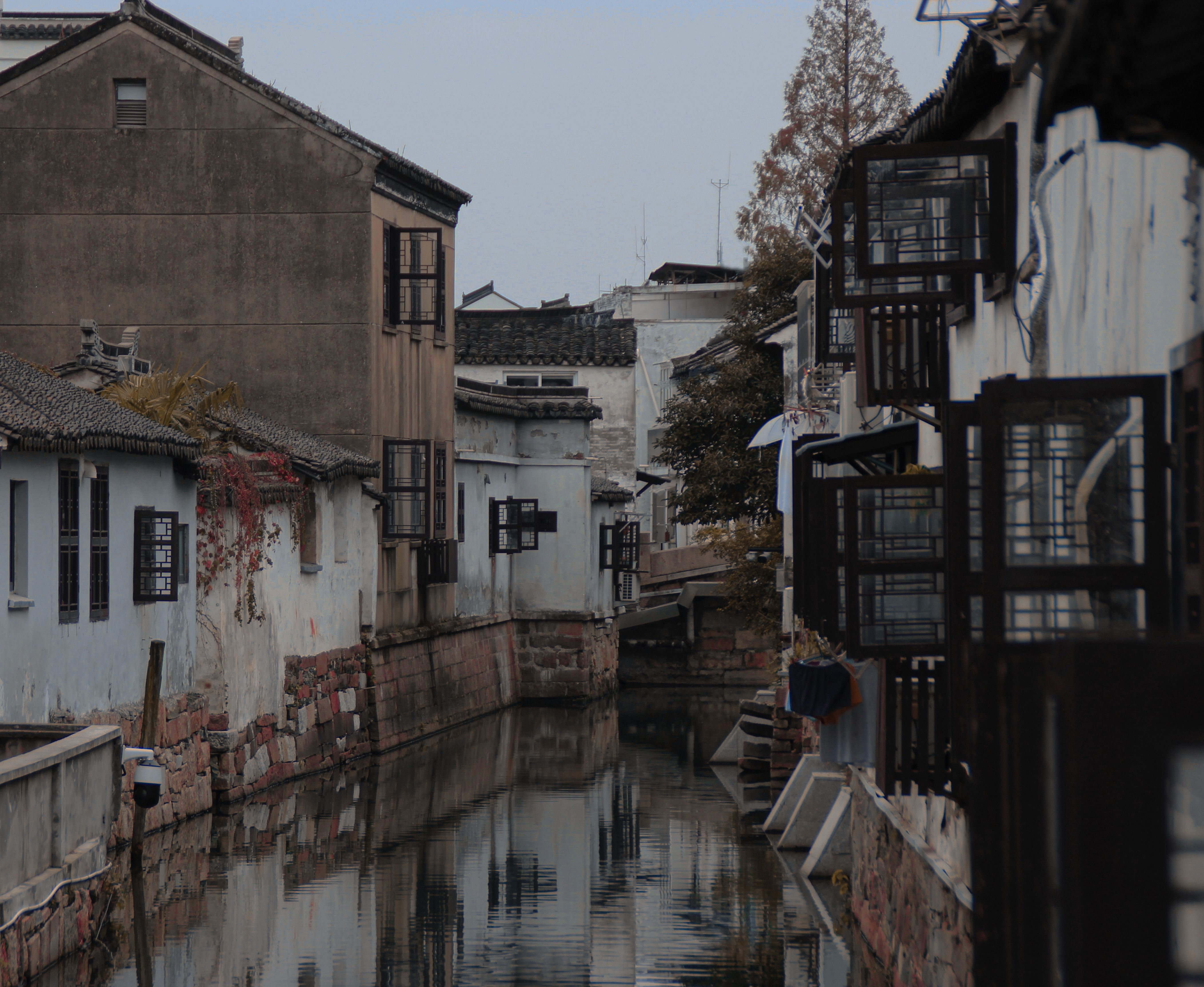 Jiangnan Water Towns Complete Guide: Wuzhen, Xitang, Tongli, Zhouzhuang and Nanxun