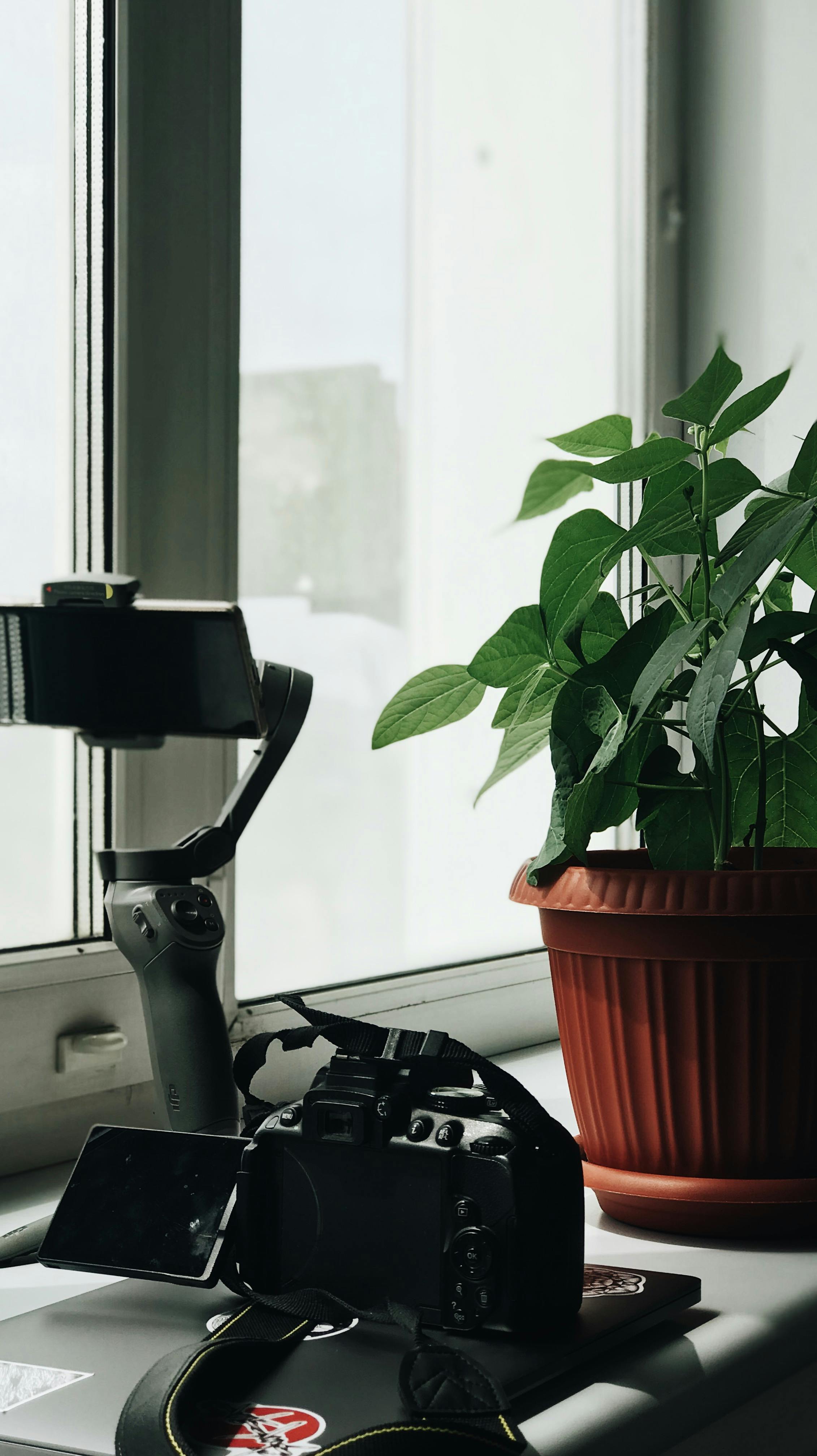 Measuring and preparing foliage nutrients for indoor plants