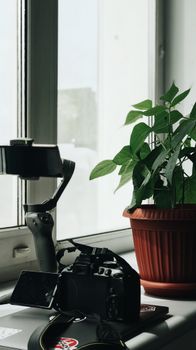 A camera and gimbal sit next to a lush green plant by a bright window, creating a serene setting.