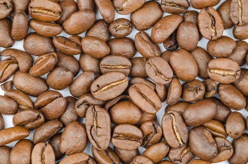 Free Coffee Beans Stock Photo