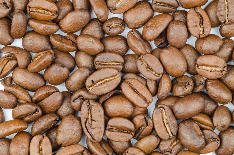 Plantation de café en altitude