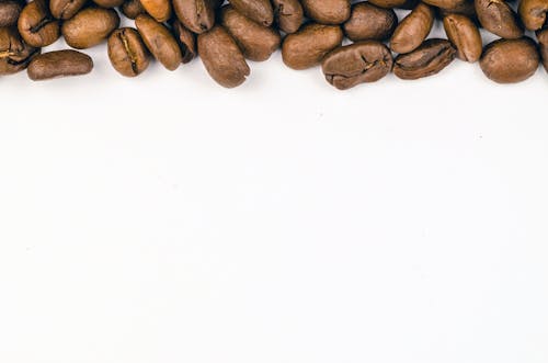 免费 棕色咖啡豆 素材图片