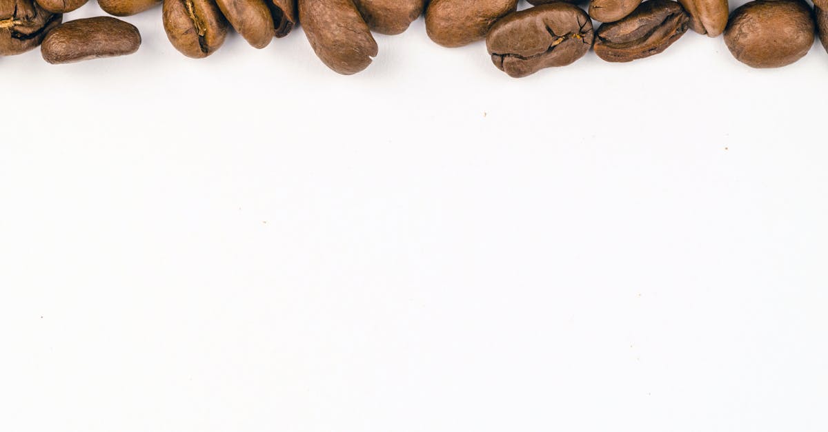 Does cocoa beans have caffeine in them
