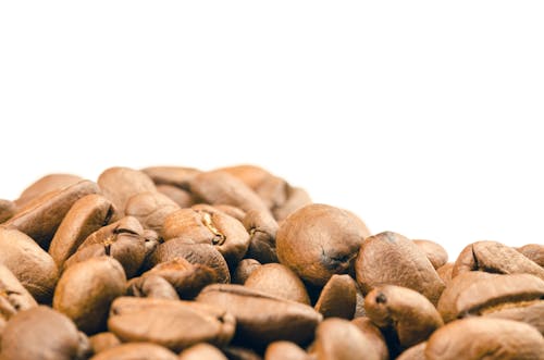 Free Selective Focus Photography of Coffee Beans Stock Photo