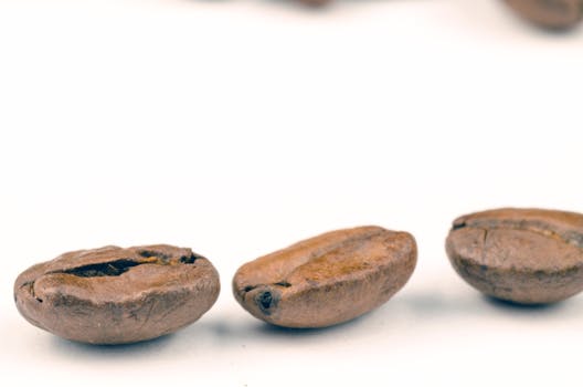 Three roasted coffee beans on a white background, emphasizing texture and detail.