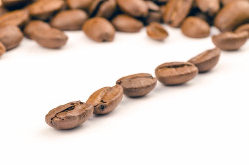 無料 コーヒー豆の束 写真素材