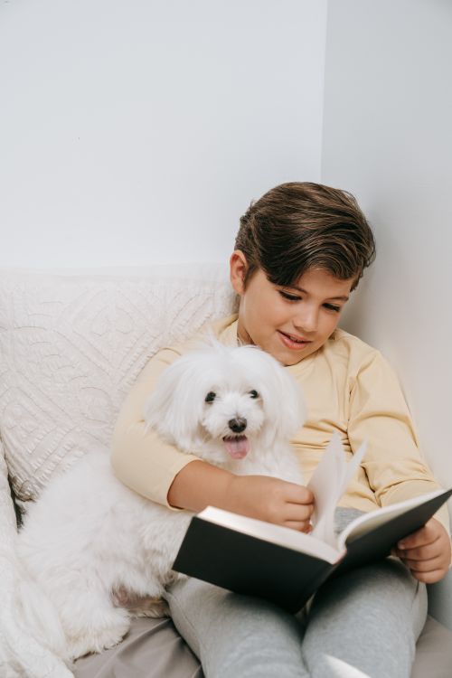 Free A young boy enjoys a book with his white dog cuddling beside him indoors. Stock Photo