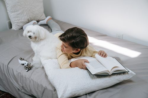 Free A young boy reading a book beside a Maltese dog on a bed, creating a cozy indoor atmosphere. Stock Photo