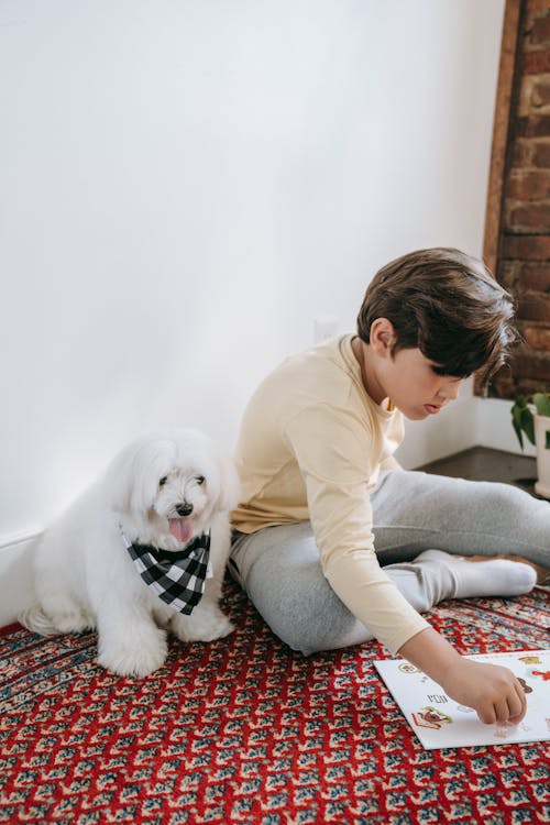 Бесплатное стоковое фото с Бандана, белая собака, в помещении