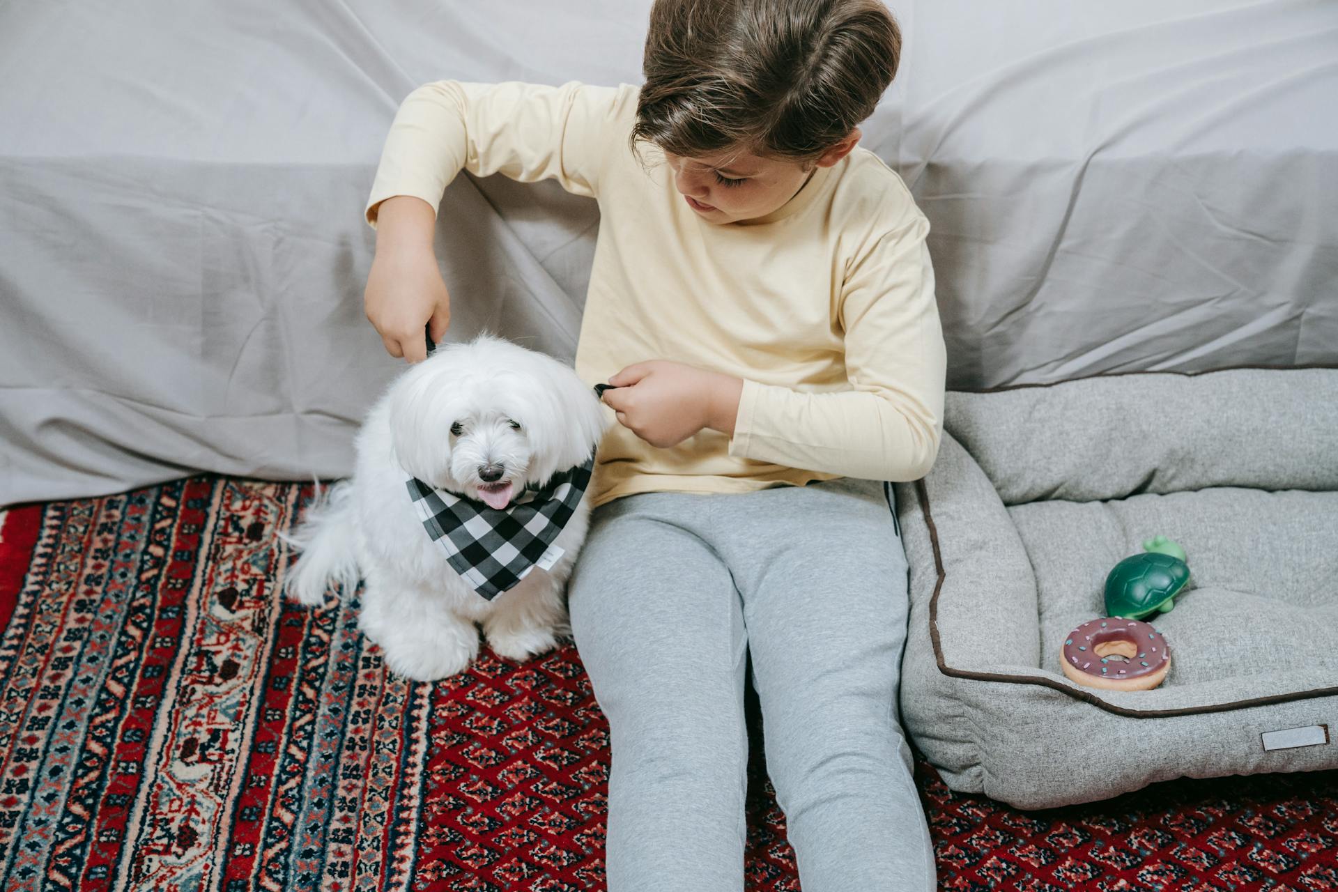 Woman in Beige Long Sleeve Shirt and Gray Pants Holding White Long Coated Small Dog