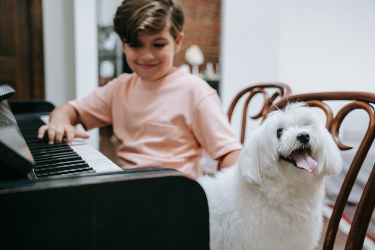 piano removals in Trawsfynydd — Piano Removals in Trawsfynydd — the working end of the job