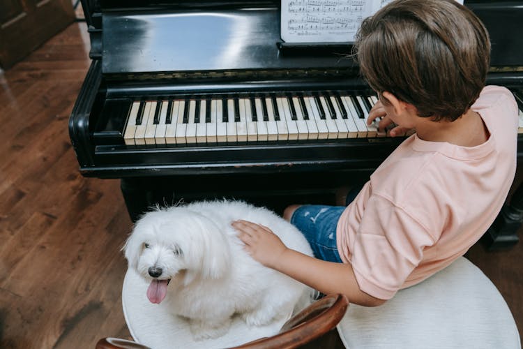 A Boy Playing The Piano While Petting A Dog