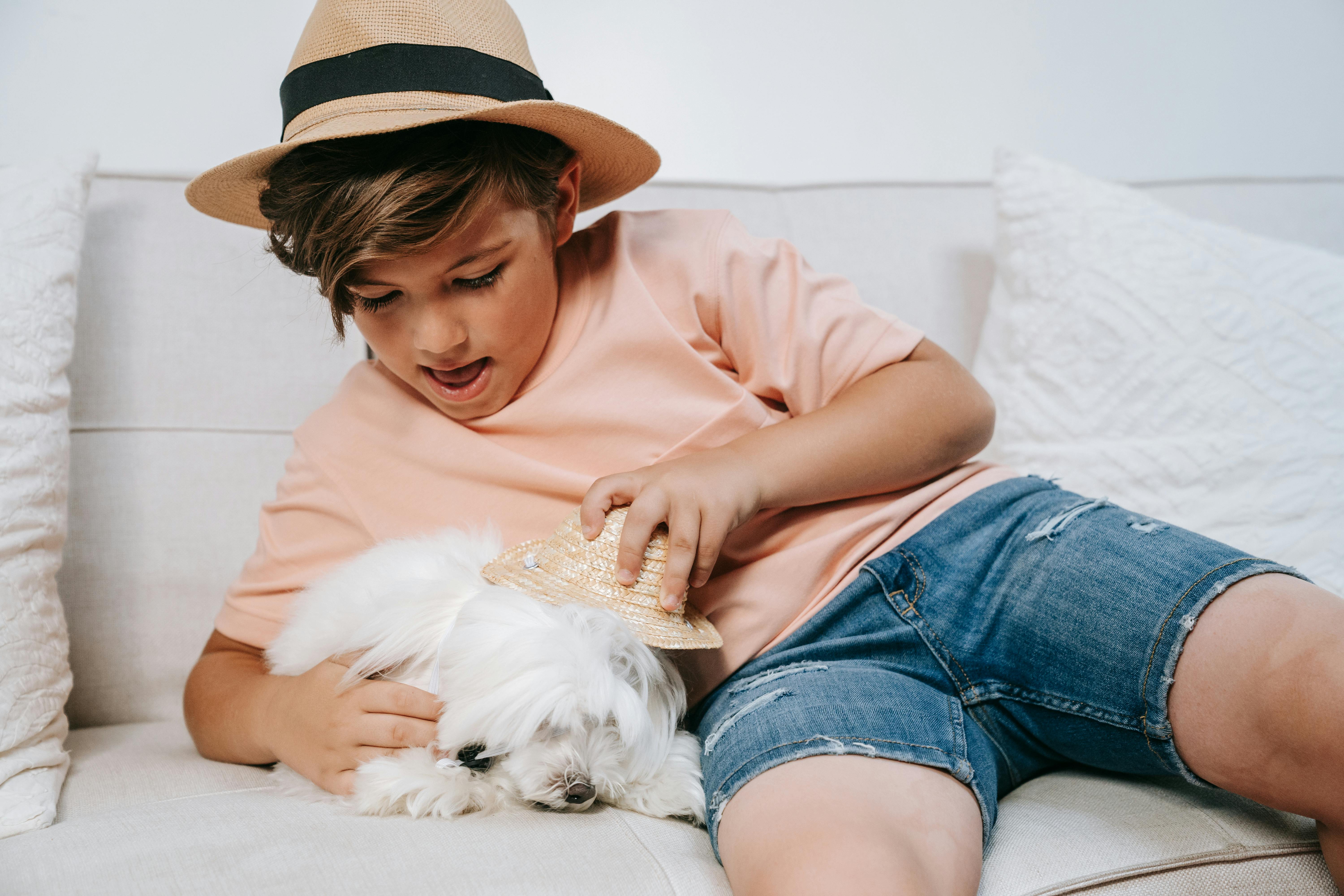 How to Safely Put a Cone on Your Dog