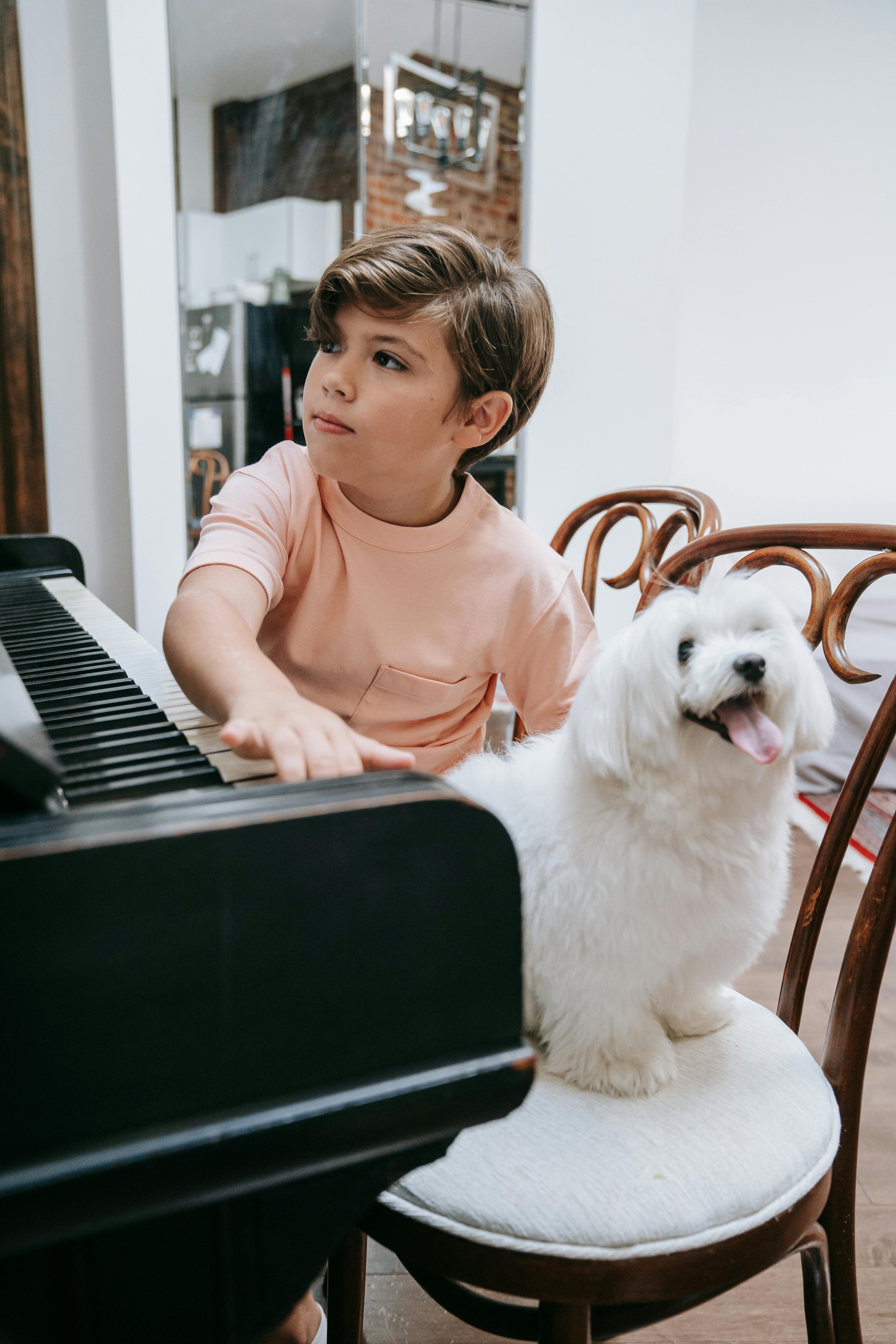 Entspannender Platz für einen Hund