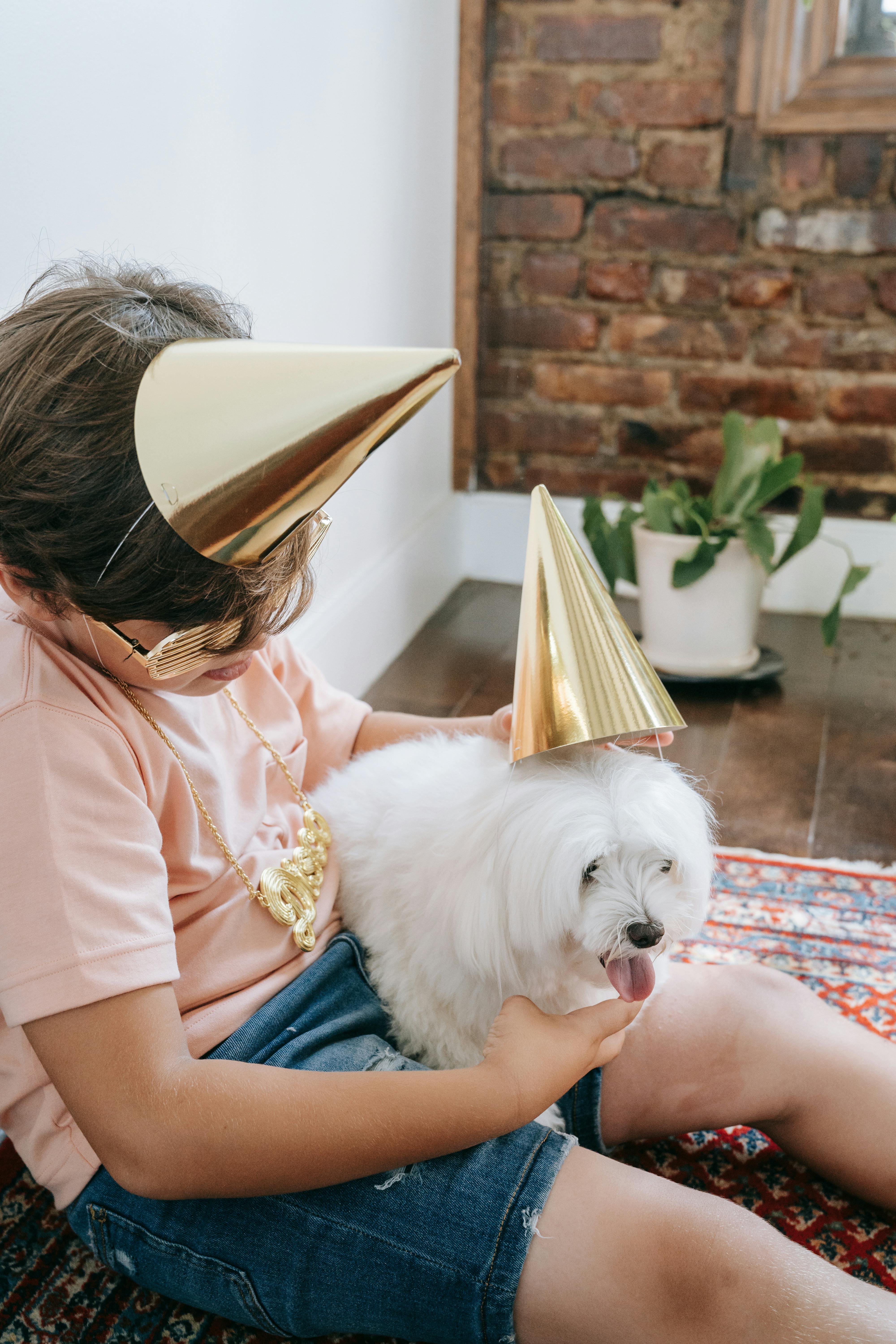 Cute dog sitting under the table · Free Stock Photo