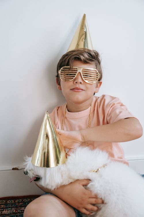 Free Boy and Maltese dog in party hats and sunglasses enjoying a fun indoor celebration. Stock Photo