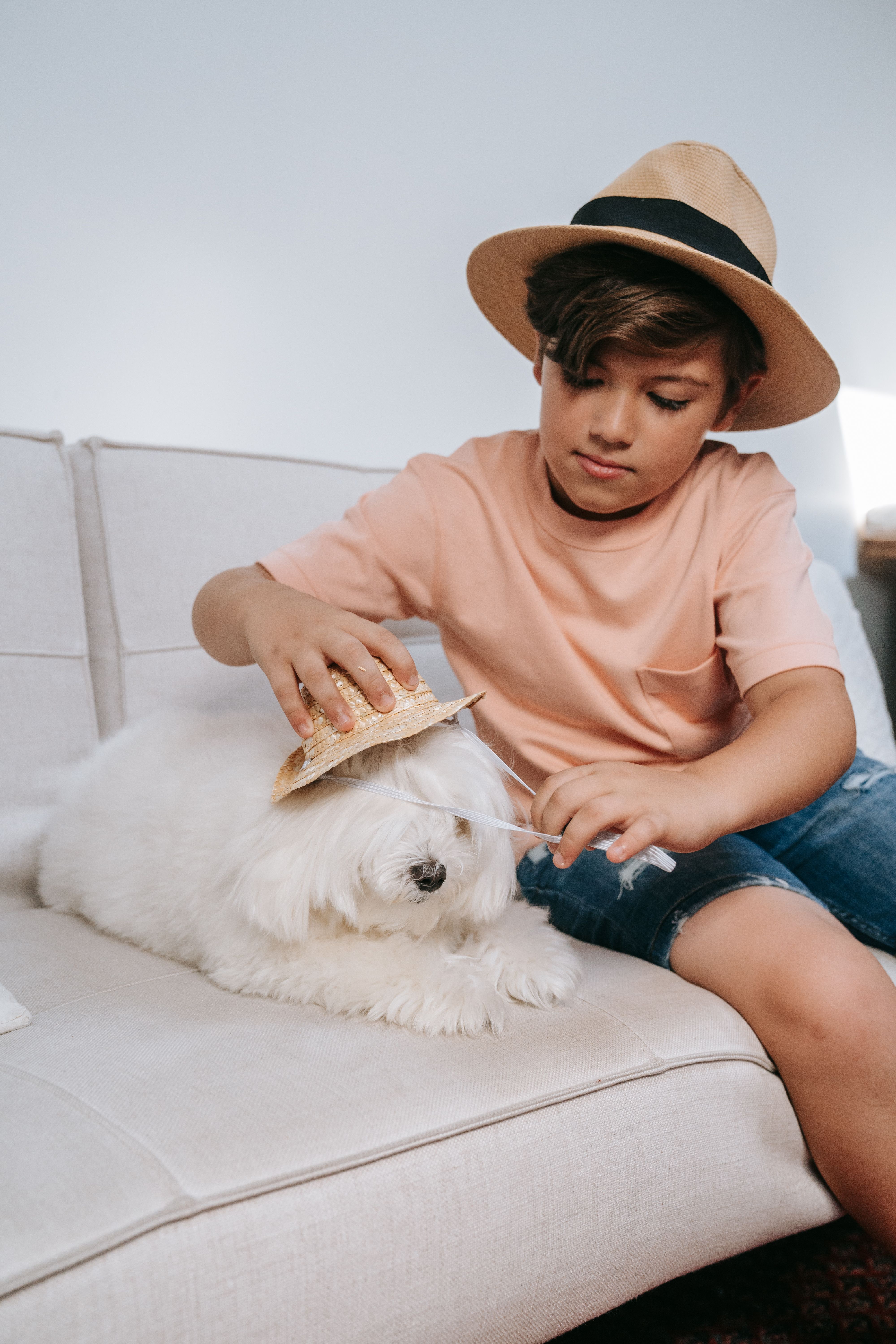 Free A boy playfully places a hat on a Maltese dog sitting on a sofa indoors. Stock Photo