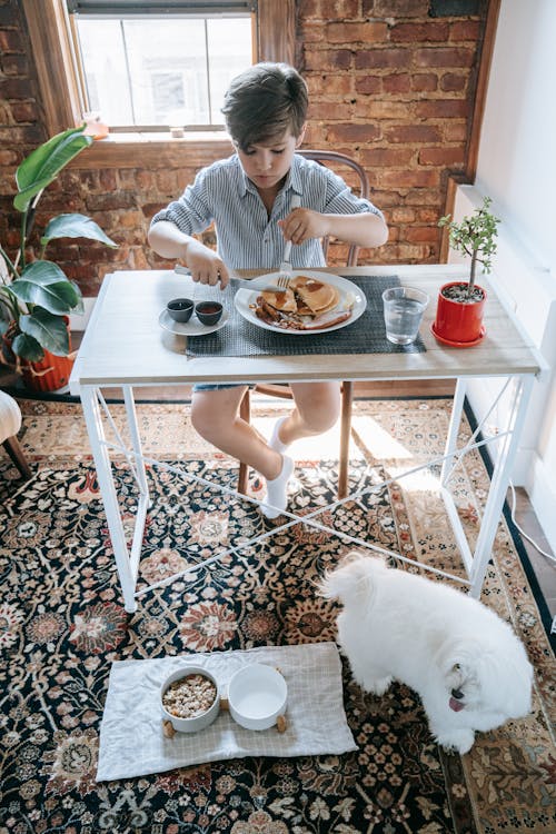 A Boy and a Dog Eating Their Breakfast