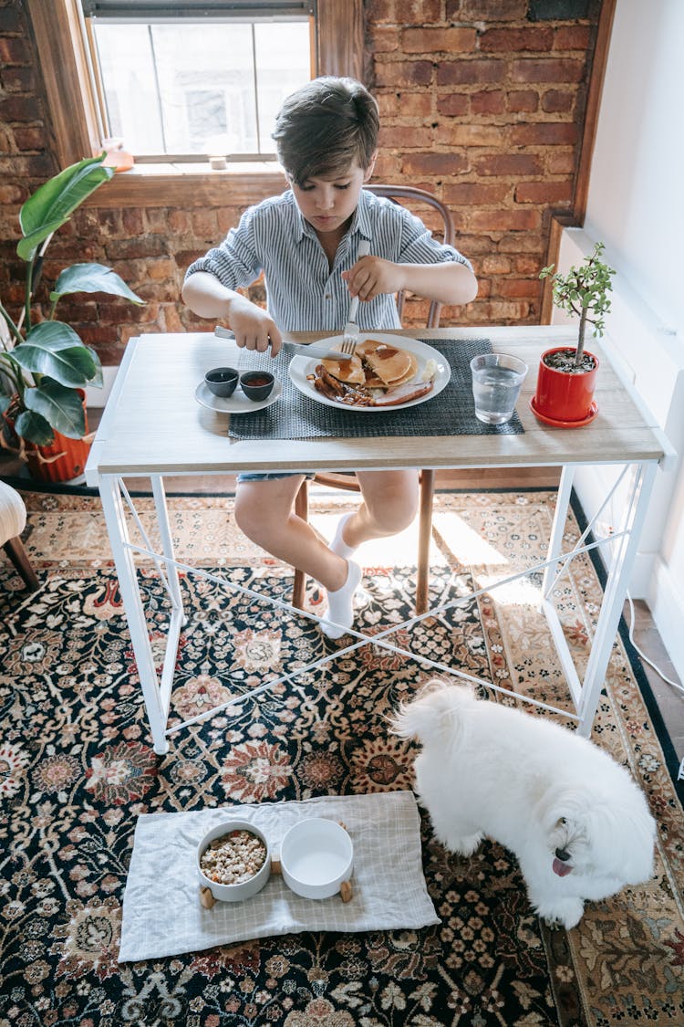 A Boy And A Dog Eating Their Breakfast