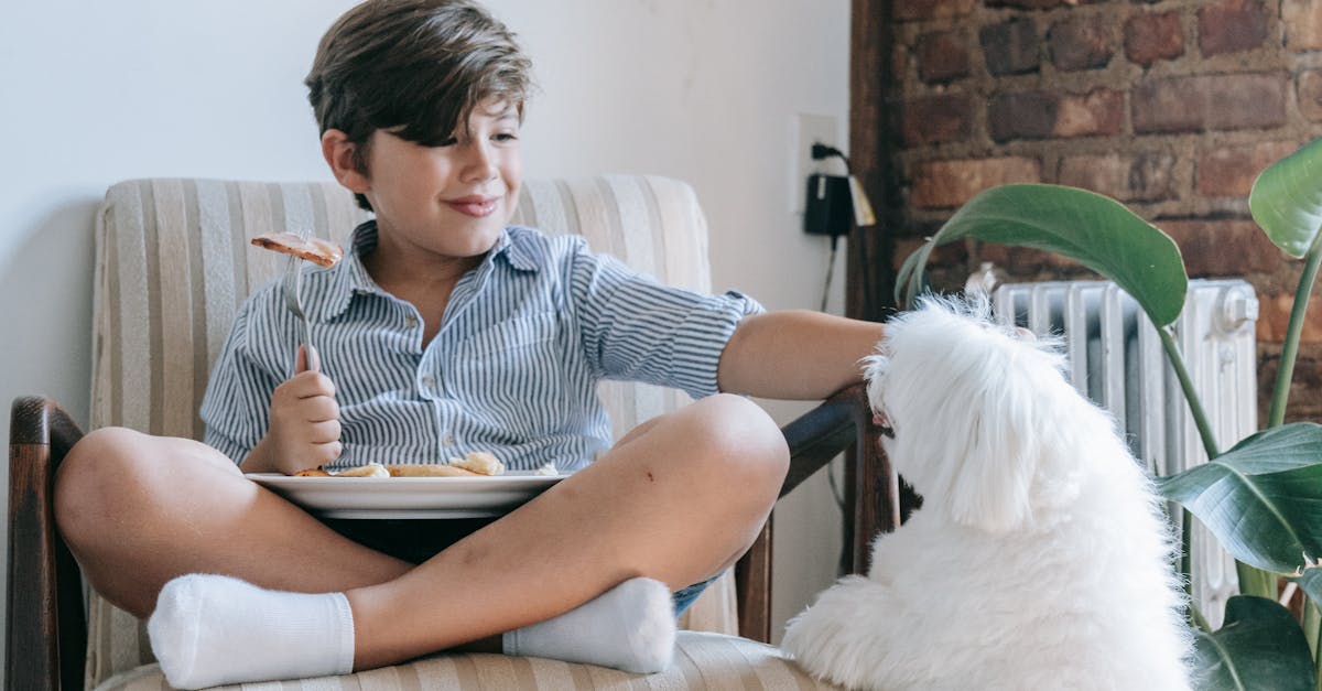 How to give your dog a pill with food
