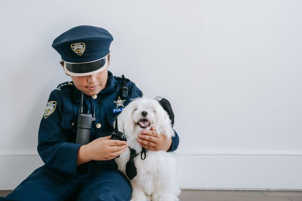 What Is Dog Training The Nine Mind They re YOUR Dogs 