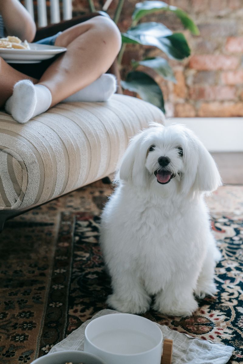 Mabel - photo 1