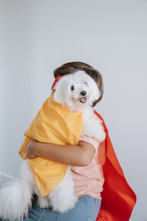 Kid Carrying a White Dog